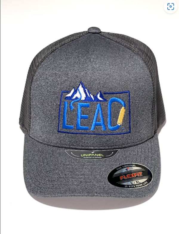 Front view of gray Lead Your One Life hat